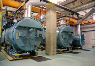 Inside Plant